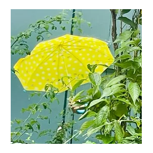 Parapluie enfant Pop Corn