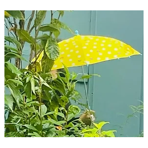 Parapluie enfant Pop Corn