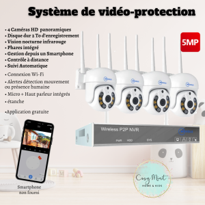Système de vidéoprotection...